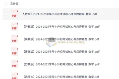2024 – 2025学年小升初考试核心考点押题卷
