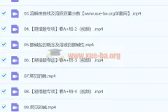 2024初三中考化学杨雯智寒假班