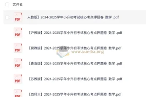 2024 – 2025学年小升初考试核心考点押题卷