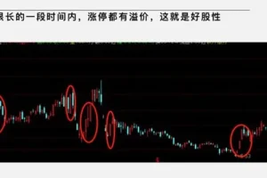 大柚子笔记：2024年4月盘面深度专属解读