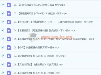 柳宁初二语文A+秋季班下课程