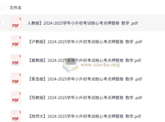2024 – 2025学年小升初考试核心考点押题卷