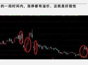 大柚子笔记：2024年4月盘面深度专属解读
