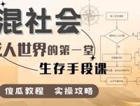 混社会：步入成人世界的生存手段课