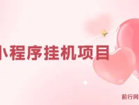 最新小程序挂机项目：每天一小时，轻松躺赚
