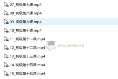 中央音乐学院初级音基考试视频课程