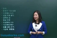 韩语学习全攻略：从零基础直达TOPIK考试
