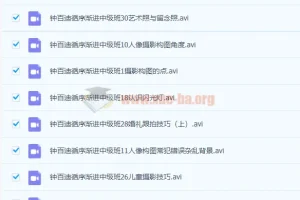 钟百迪人像摄影循序渐进中级班