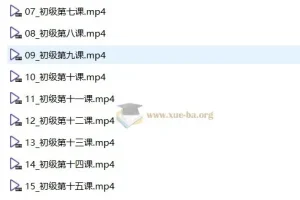 中央音乐学院初级音基考试视频课程