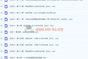 伍凌枫琶音训练营及前卫吉他编配与创作课程