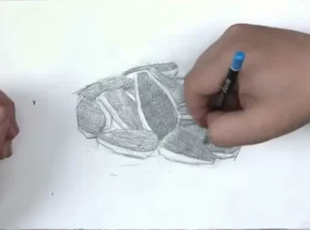 素描速成秘诀：从零到精通系统教学课程