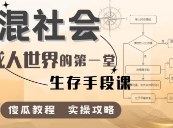 混社会：步入成人世界的生存手段课
