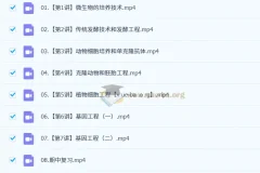 2024 – 2025高二生物杨雪全年课程（暑假班、秋季班、寒假班、春季班）