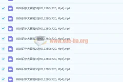 叫叫识字大冒险幼儿识字视频教程全60集
