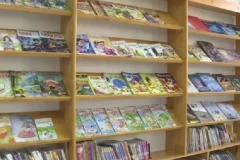社科精品：甲骨文书单（500册）