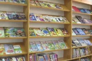 社科精品：甲骨文书单（500册）