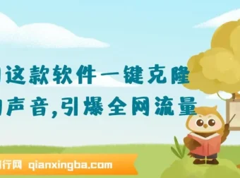 软件一键克隆人物声音课程：保姆级落地教程，轻松引流变现