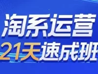0基础21天速成淘系运营班
