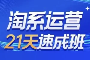0基础21天速成淘系运营班