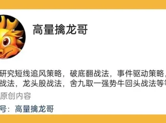高量擒龙哥圈内股票培训课（含指标）