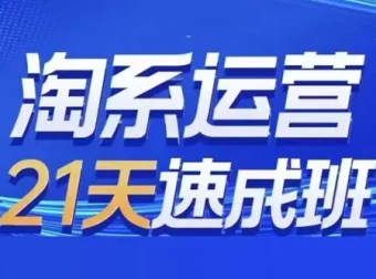 0基础21天速成淘系运营班