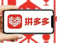 PDD打爆班原创高阶技术第43期课程
