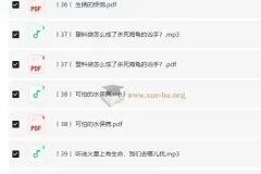 小学科学思维课·进阶篇