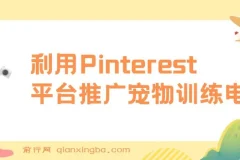 利用Pinterest平台推广宠物训练电子书，业余时间上传图片赚美金