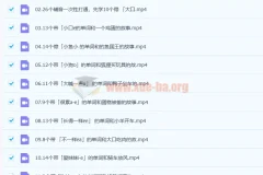 英语名师Frank：零基础30天自然拼读背单词课程