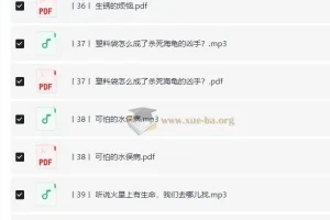 小学科学思维课·进阶篇