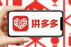 PDD打爆班原创高阶技术第43期课程