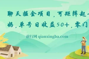 聊天掘金项目：可矩阵起号，适合多类人群，零门槛易上手