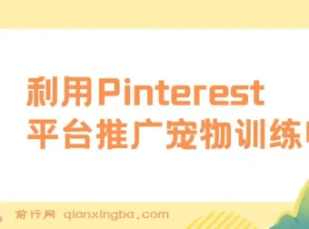 利用Pinterest平台推广宠物训练电子书，业余时间上传图片赚美金
