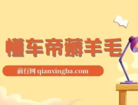 懂车帝薅羊毛项目：单号最高赚165元，搬运即可
