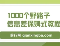 1000个野路子信息差保姆式教程：单日变现3000+玩法解密