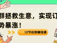 12节社群赚钱课：疫情下用社群拯救生意，实现订单逆势暴涨！