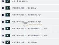2025年高级审计师备考资料（教材+视频+讲义）