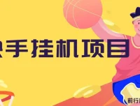快手挂机项目：10 天轻松赚 600+，操作简单无脑