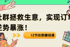 12节社群赚钱课：疫情下用社群拯救生意，实现订单逆势暴涨！
