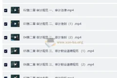 2025年高级审计师备考资料（教材+视频+讲义）
