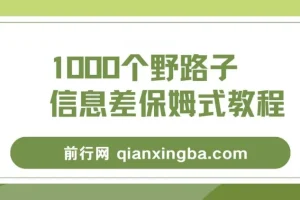 1000个野路子信息差保姆式教程：单日变现3000+玩法解密