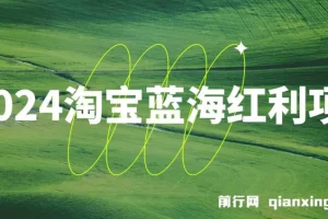 2024淘宝蓝海红利项目：无脑搬运，小白轻松月入五位数