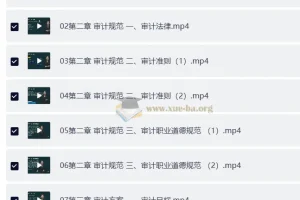 2025年高级审计师备考资料（教材+视频+讲义）