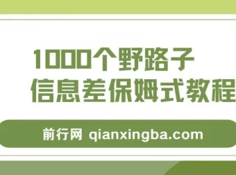 1000个野路子信息差保姆式教程：单日变现3000+玩法解密