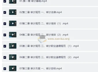 2025年高级审计师备考资料（教材+视频+讲义）