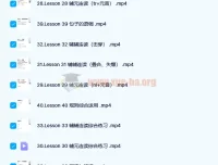 雪梨老师英语精品课三合一课程