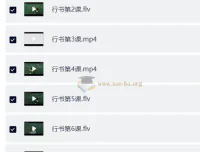 戴鸿涛钢笔字视频教程：正楷20讲+行楷14讲