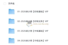 2026初中级审计课程资料
