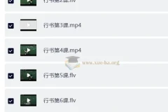 戴鸿涛钢笔字视频教程：正楷20讲+行楷14讲