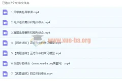 雷昭颜初三数学秋季课程（北师大版）